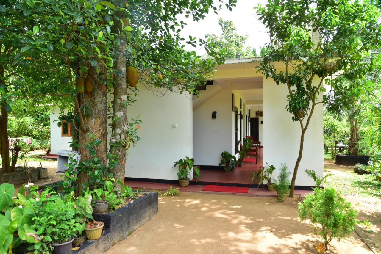 Smashing Inn Dambulla Dış mekan fotoğraf